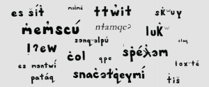 Salish-language-signs